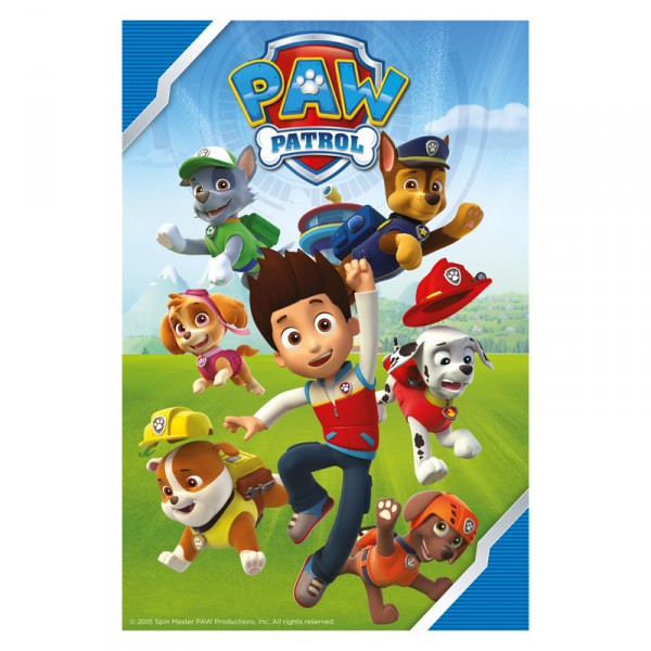 Plaid Polaire Paw Patrol