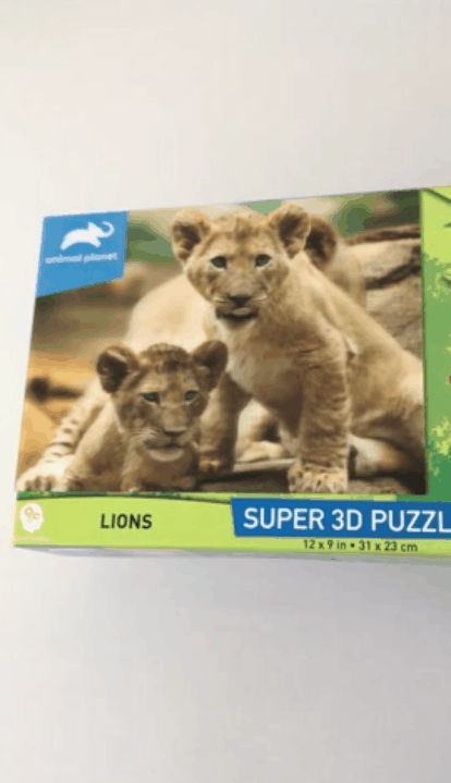Puzzle lions super 3d presentation video